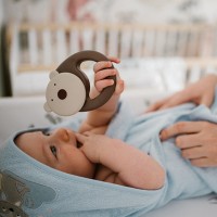 Погремушка BEAR 1546