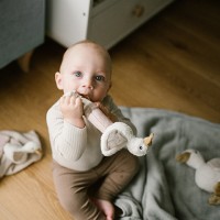 Игрушка с прорезывателем GOOSE ZOE (без пищалки) Babyono 1555