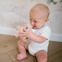 Игрушка с прорезывателем KOALA CHARLIE (без пищалки) Babyono 1560