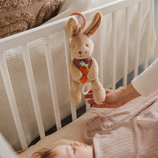 Muzikālā rotaļlieta RABBIT KARO 1686-MAZUĻIEM (~0-5 gadi)-bebis.lv