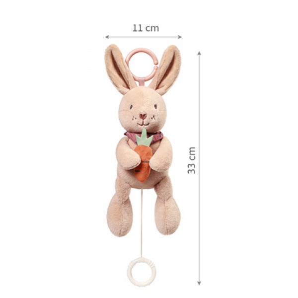 Muzikālā rotaļlieta RABBIT KARO 1686-MAZUĻIEM (~0-5 gadi)-bebis.lv