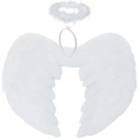 Angel wings + headband 26479