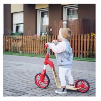 Balansa ritenis-skrejritenis EVO 360° red J02.006.1.1 