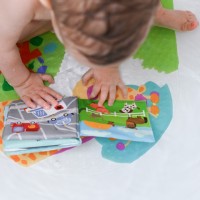 Книжка FIRST STEPS с пищалкой A0477