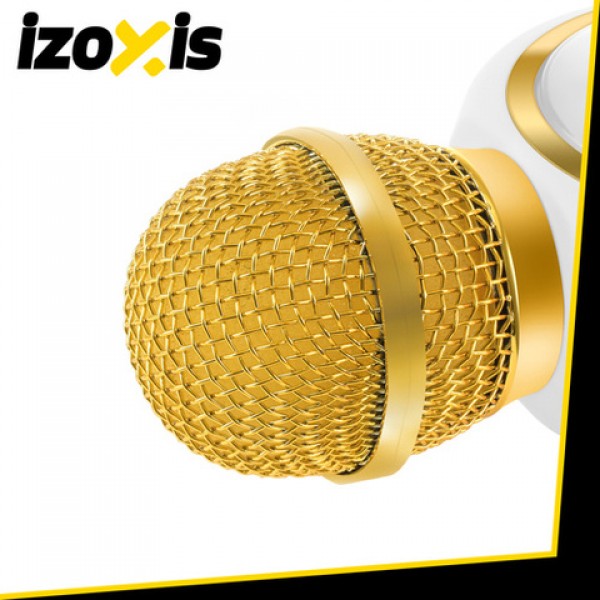 Микрофон-караоке с динамиком RABBIT 27047-Игрушки-bebis.lv