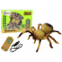 Zirneklis-tarantuls ar RC pulti 58891-Rotaļlietas-bebis.lv
