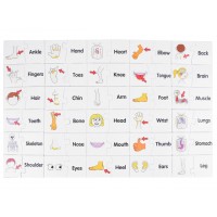 Puzle-ķermeņa daļas angļu valodā ZA3864