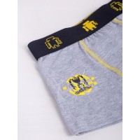 Трусы-боксеры для мальчика (2 шт.) BMB-0017