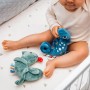 Развивающая игрушка CHAMELEON CHARLES BabyOno 1413-ИГРУШКИ-bebis.lv