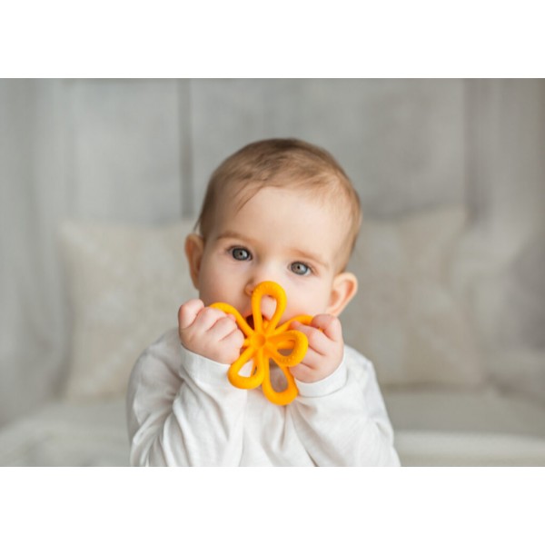 Zobu graužamais FLOWER 50075-Rotaļlietas-bebis.lv