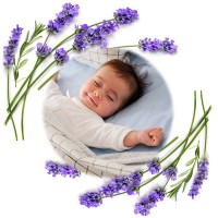 Termofors ar ķiršu kauliņiem CHERRY BabyOno 796/02 grey